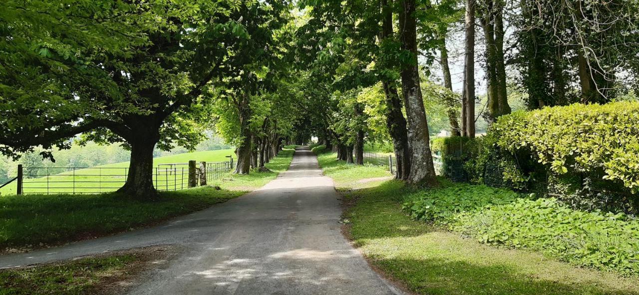 Rose Farm Bed & Breakfast Honiton Luaran gambar