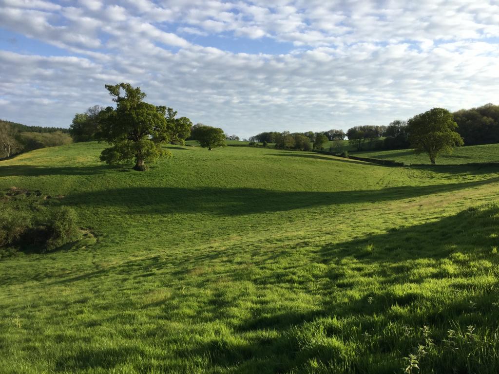 Rose Farm Bed & Breakfast Honiton Luaran gambar