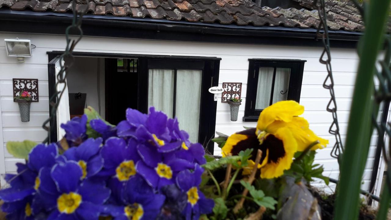 Rose Farm Bed & Breakfast Honiton Luaran gambar