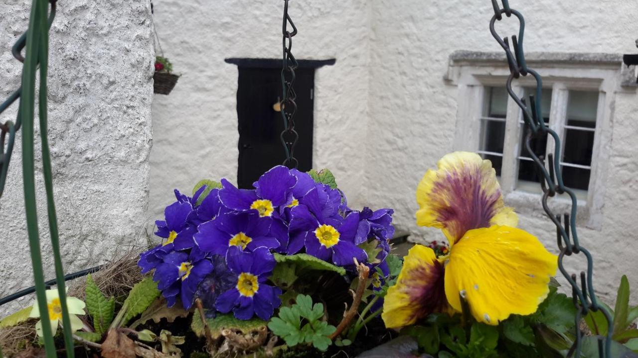 Rose Farm Bed & Breakfast Honiton Luaran gambar