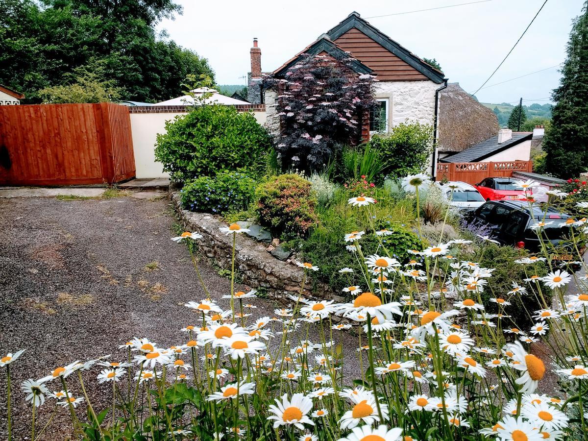 Rose Farm Bed & Breakfast Honiton Luaran gambar