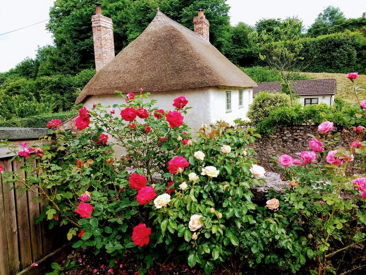 Rose Farm Bed & Breakfast Honiton Luaran gambar